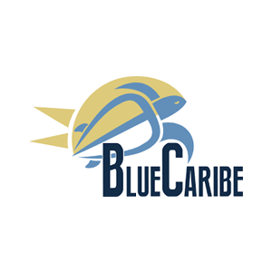 Blue Caribe Tours UK Promo Codes